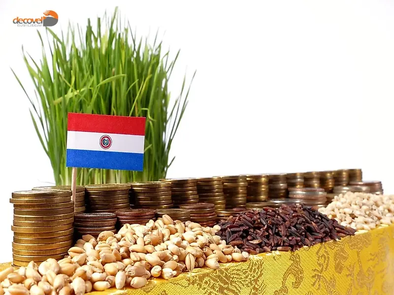 درباره اقتصاد کشور پاراگوئه در این مقاله از دکوول بخوانید.