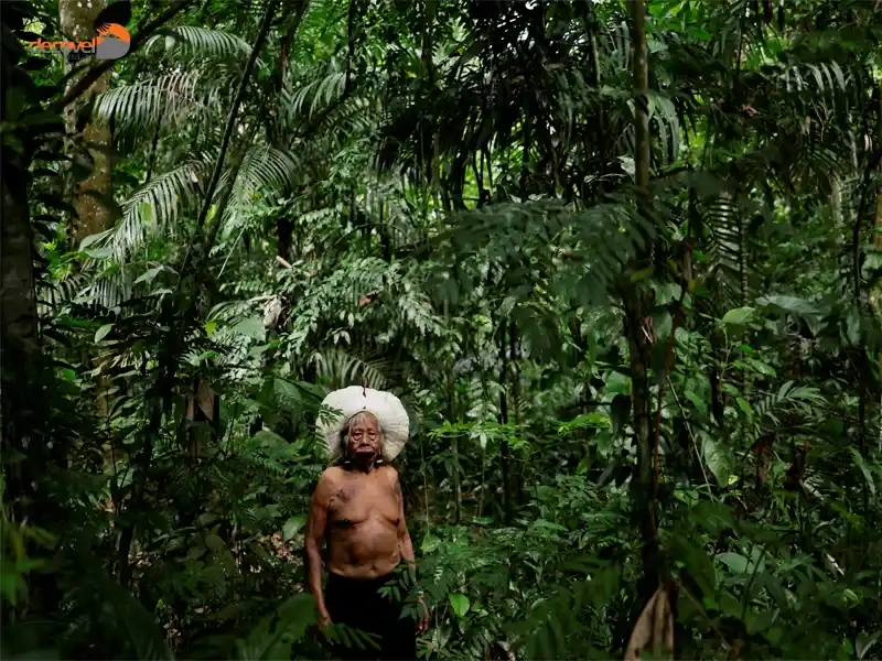 درباره فرهنگ و افراد بومی جنگل آمازون در دکوول بخوانید.
