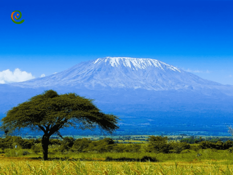 درباره قله کلیمانجارو یکی از قلل زسیا قاره آفریقا و جهان در دکوول بخوانید.