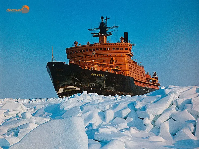 درباره سفر با کشتی به قطب شمال و دیدنی‌های این مسیر با این مقاله از دکوول همراه باشید.